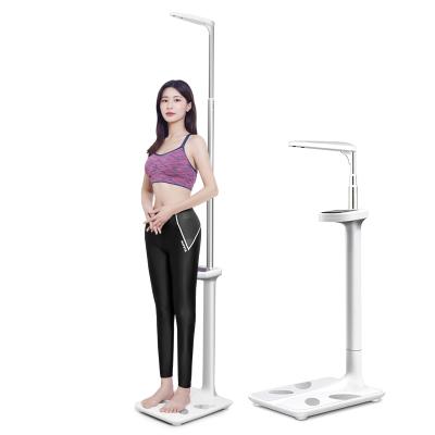 China Body Fat/Water/Muscle/Hydration Health Body Fat BMI Multi-Function Commercial Weighing Scales Bone Scale/Calories/BMI/Height/Weight for sale