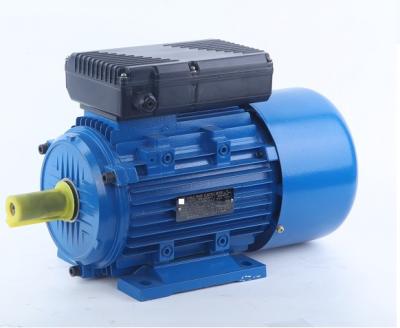 China Totally Enclosed CE Approved 60Hz Single Phase AC Motor for sale