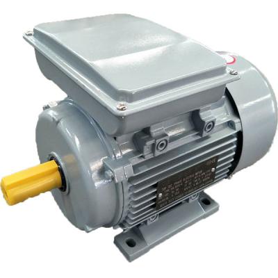 China ML series single phase totally enclosed motor for sale for sale