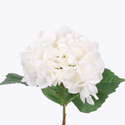 China Gift AMK Hot Selling Real Touch Artificial Blue Hydrangea Flower For Home Decoration for sale