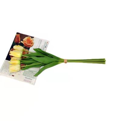 China Luxurious Gift AMK Touch Flower 7 Heads 54cm Fresh Artificial Tulip For Party Layout for sale