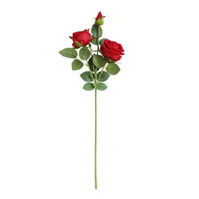 China Popular White Velvet AMK 3 Heads Artificial Velvet Roses With A Steamer For Home for sale