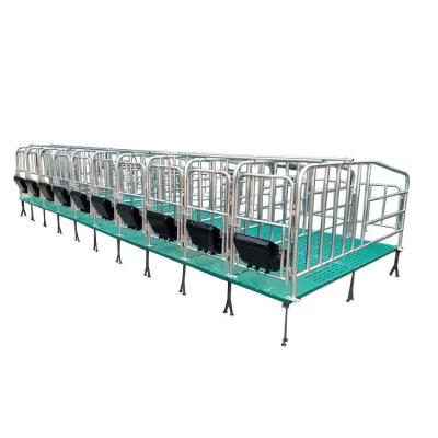 China Farms Pig Sow Gestation Placing Column Pig Gestation Crate Pigsty Farm Product for sale