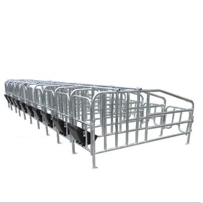 China Wholesale Farms Factory Sow Pig Gestation Setting Column Setting Column Product for sale