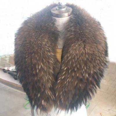 China Big 90cm long Europe raccoon fur collar for winter coat/parka for sale