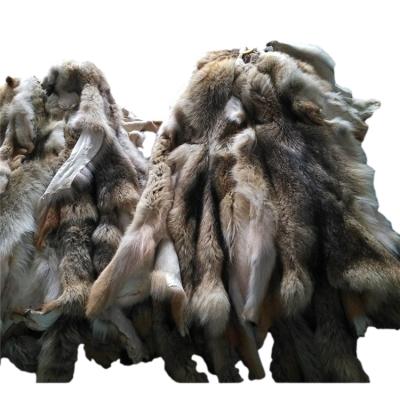 China High Quality Anti Wrinkle Anti Wrinkle Full Coyote Fur For Home Textile for sale