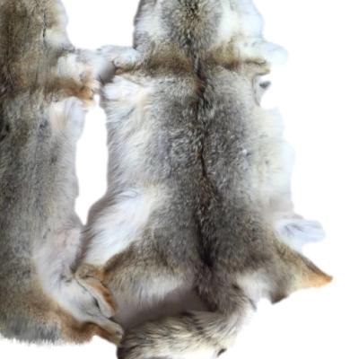 China Anti Wrinkle Anti Wrinkle Coyote Fur Wholesale Customized Real Coyote Fur Junction Panels For Collar Hood Trimming Parka for sale