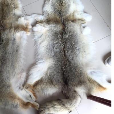 China Real 100% USA Tan Coyote Fur Smooth Smooth Hide Coyote Fur Pelt for sale