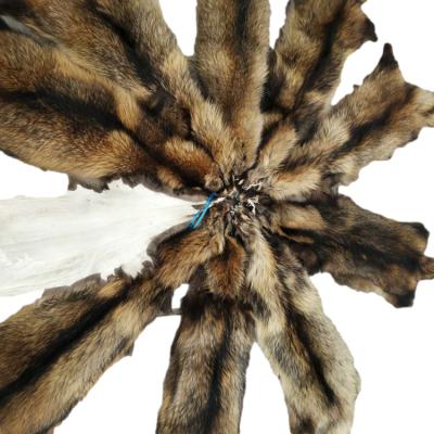 China Real Color Raccoon Dog Fur Skin Smooth Soft High Quality Natural Skin for sale