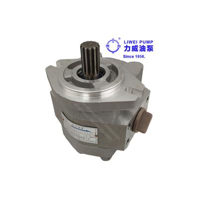 China Hydraulic gear pump for TCM FD50 Z7 15787-10502 since 1956 Liwei for sale