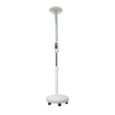 China Professional Illumination Beauty Salon Magnifier Stand Type Skin Inspection Magnifying Lamp MSD-117B for sale