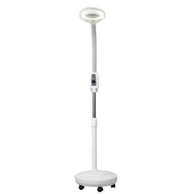 China Light Equipment Medical Dental Facial Magnifier Beauty Salon Led Cosmetic Lamp MSD-117B for sale