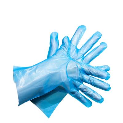 China Water and Oil Resistant High Quality Vinyl Gloves Disposable Food Grade Plastic Gloves for sale