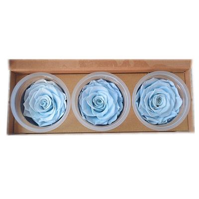 China DIY to Wedding & wholesale home decoration valentines day gifts stunning light blue eternal rose preserved fresh flower for sale for sale