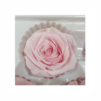 China Gift box making romantic true elegance Austin rose flower head preserved 5-6 cm preserved rose flower head for sale