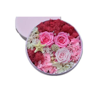 China Real Rose Best Quality A Grade Romantic Preserved Soft Fresh Preserved Roses For All Year Occasion for sale