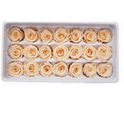 China Gift Box Flora 2-3 cm Champagne Color Preserved Natural Mini Roses Flowers in Box Perserved Roses for sale