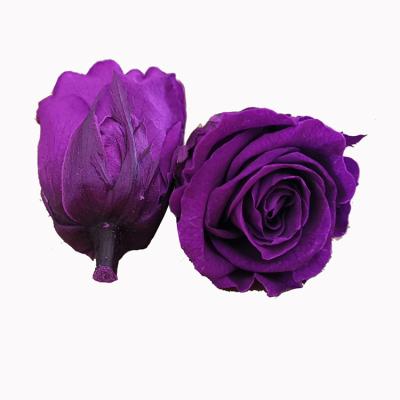 China DIY to Wedding & wholesale cheap home decoration preserved roses 2-3 cm preserved rose head for sale