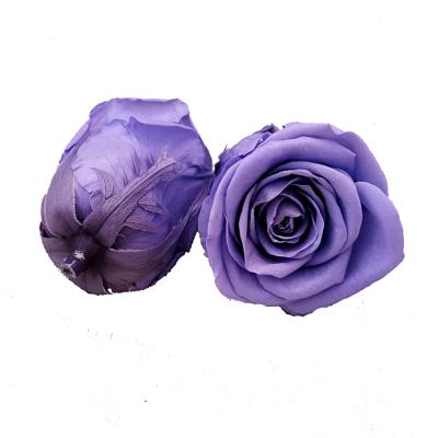 China 40color 5-6cm Celebration Preserved Forever Rose Flowers Natural Forever Eternal Rose In Gift Box for sale