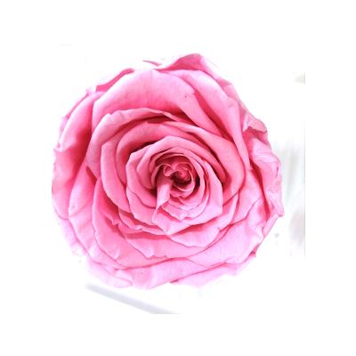 China Making Gift Box Manufacturers Supply 5-6cm High Quality B Grade Permanent Preservation Rose Head for sale