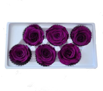 China Simple 5-6cm Preserved Preserved Rose Head For Wall Wedding Celebration Or Events Decoration for sale