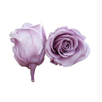 China Good Quality Celebration Foam Real Roses For Wedding Head Preserved Lasting Flowers Rose Eternal 6-7cm for sale