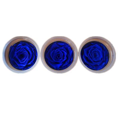 China Mother's Day Products 7-8cm Best Selling Blue Color Preserved Eternity Rose UK for sale