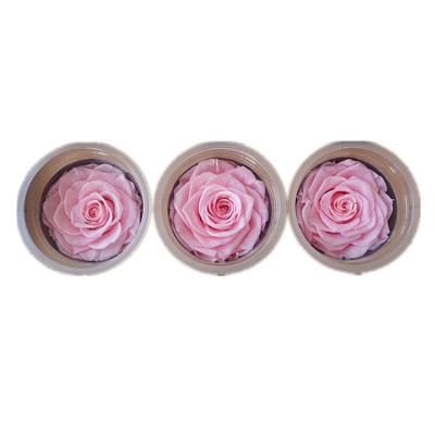 China Rose Yunnan Flower Forever Flower romantic real preserved roses head for wedding for sale