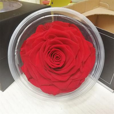 China Wholesale Mother's Day Decorative Flower Cheap Preserved Rose 9-10cm for sale