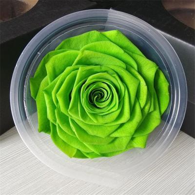 China New Product 9-10 Cm Mother's Day Big Head Rose Ideas 2021 Never Withered Roses Preserved Roses for sale