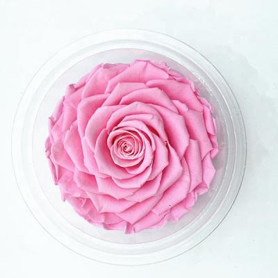 China Mother's Day China Suppliers Craft Rose Flower Stage Decoration Rose Head for sale