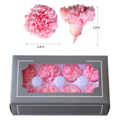 China Celebration New Product Ideas 2021 Flowers Preserved Carnation For Mother's Day Gift for sale