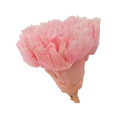 China Mother's Day Natural Fresh Preserved Carnations Flower for Mother's Day Carnation Bouquet for sale