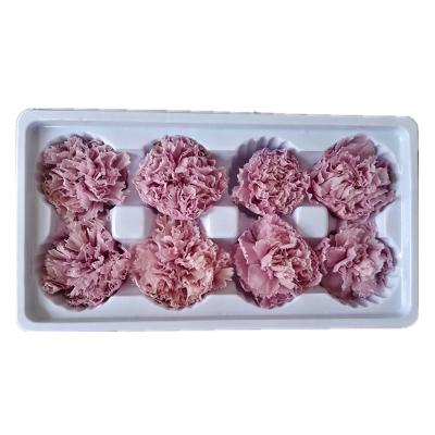 China Mother's Day Wholesales Crazy Sale Preserved Carnation Flower for sale