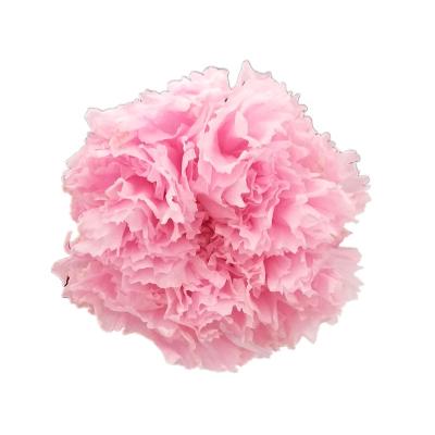 China Mother's Day Multi Color Long Preserved Artificial Flower Natural Carnation For Mother's Day for sale