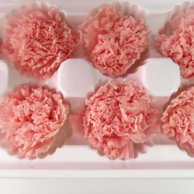 China Making Gift Box Beautiful Pink 8Pcs Immortal Preserved Carnation Flower Carnations Gift Box For Mother's Day Preserved Carnation for sale