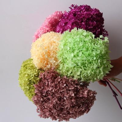 China Natural Artificial Hydrangeas Wedding Flowers Touch Decoration Flowers Hydrangea Fresh Permanent Home Decoration For Wedding Stem Event for sale