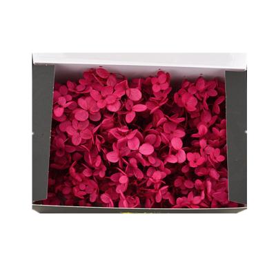 China Wholesale Cheap Preserved Mother's Day Hydrangea Flower For Mother's Day Souvenir for sale