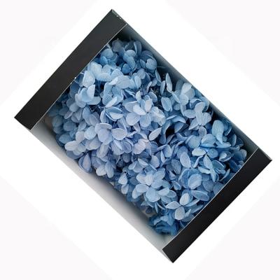 China Touch Natural Chinese Supplier Natural Dried Flowers Preserved Hydrangea For Wedding for sale