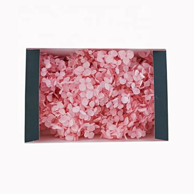 China 20g/box Natural Touch Kunming Real Touch Hydrangeas Preserved Hydrangea for sale