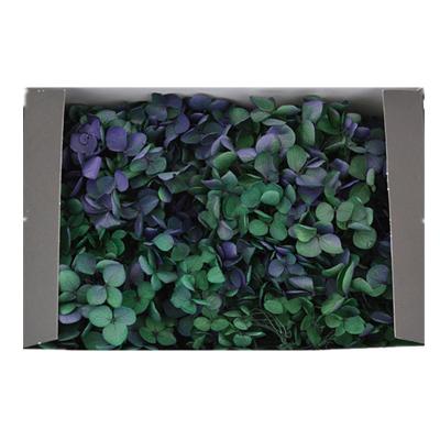 China Natural Touch Anna Preserved Hydrangea Flower for Modern Decoration Home Accessories for sale