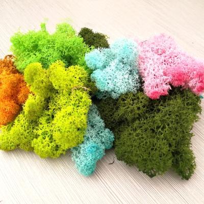 China Eco-friendly moss decoration home accessories diy floral material decoration preserved fresh moss for wedding party garden for sale