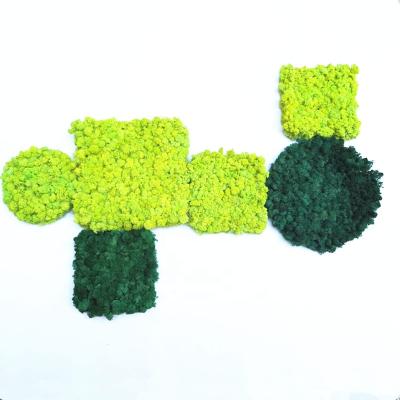 China Moss Stabilized Reindeer Artificial Moss Natural Green Eco-friendly Preserved Moss Decoration Wall for sale