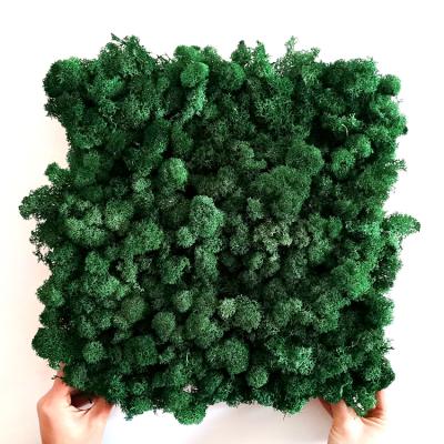 China Live Moss Preserved Moss Panel Wholesale Pure Eco-friendly For Indoor Wall Decoration for sale