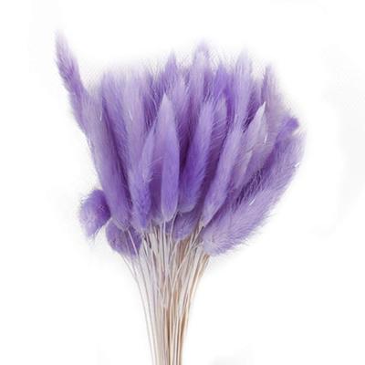 China Marry the & party decoration best price colorful bunny tail grass for DIY decoration for sale