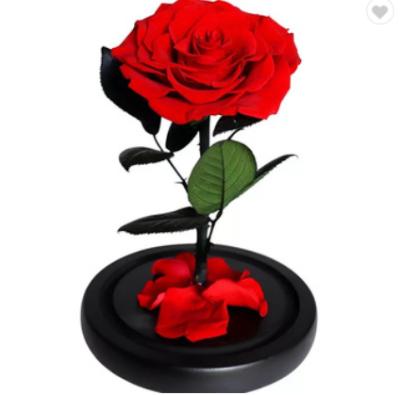 China Celebration China Supply Preserved Roses Head Led Preserved Eternal Rose Rose Flower in Glass Dome for Wedding Valentines Day Gift for sale