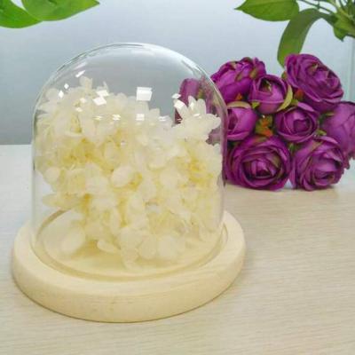 China Making Gift Box Yunnnan Preserved Hydrangea Glass Ball Preserved Flower for sale