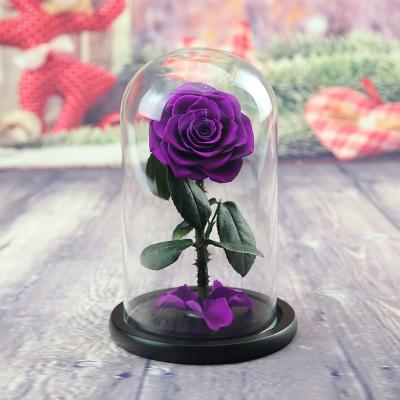 China Wholesale Preserved Rose Durable 7-8cm Preserved Rose With Stem in Yunnan China Dome Glass Wholesale for sale