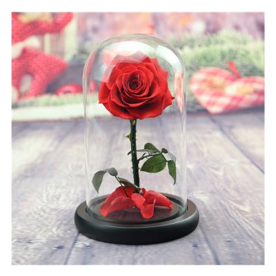 China Hot Mother's Day Souvenir Forever Selling Preserved Flower Rose In Glass Dome for sale