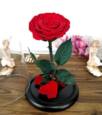 China 2021 Celebration New Products Beauty And The Beast Rose In The Glass Dome for sale